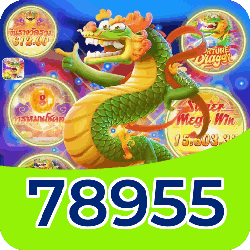 Métodos de pagamento aceitos na 78955